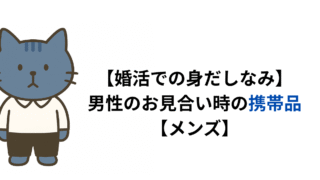 【婚活での身だしなみ】アラサー男性のお見合い時の携帯品【メンズ】