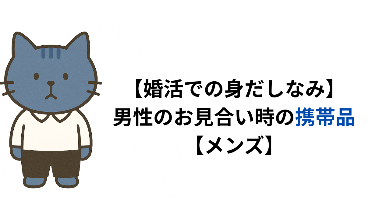 【婚活での身だしなみ】アラサー男性のお見合い時の携帯品【メンズ】